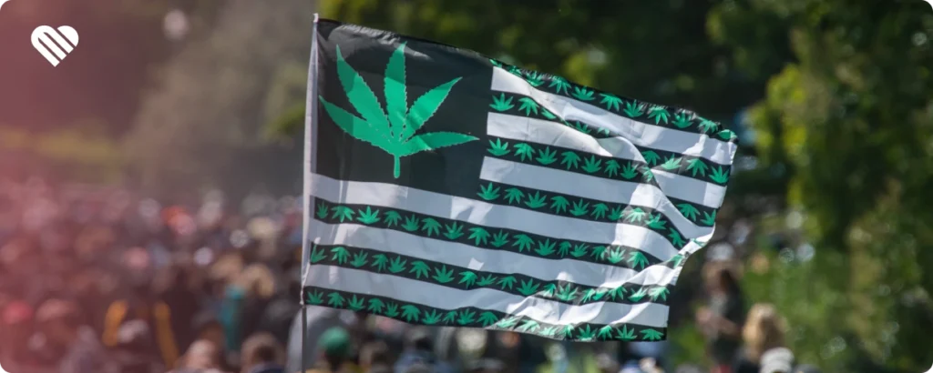 What Does an Active Cannabis Culture Look Like?