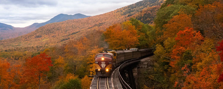 state of New Hampshire