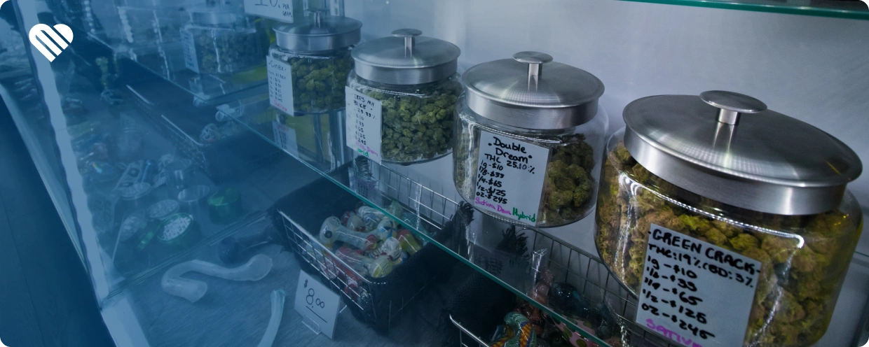 Hemp THC vs Medical Cannabis: Which is Better?