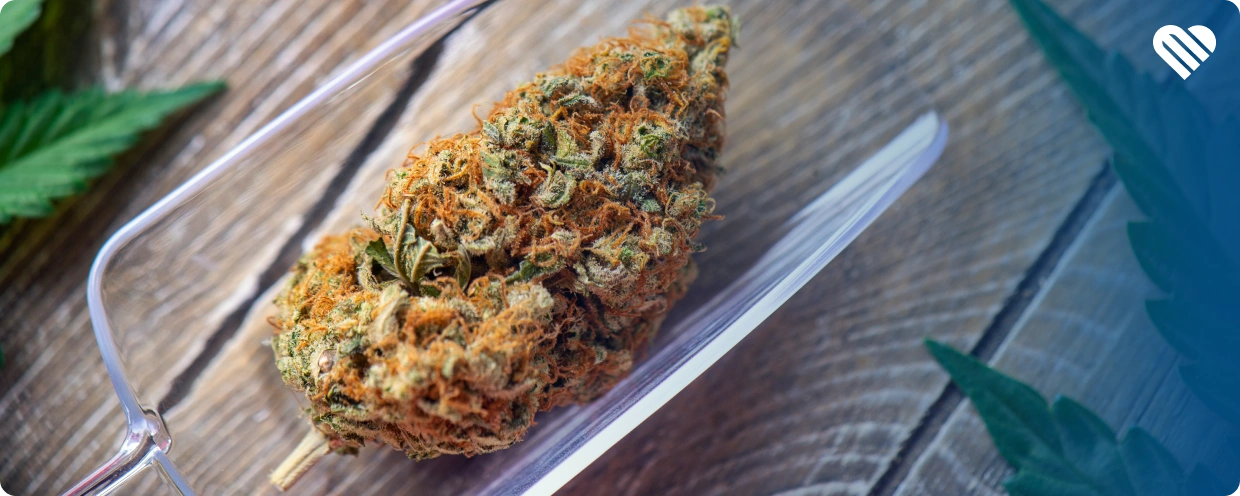 finding the best desktop vaporizer