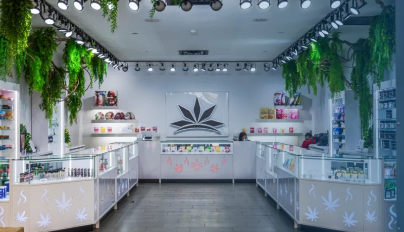 Home Grow and Medical-Only Perks