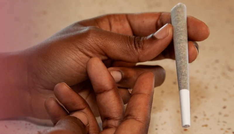 Top 10 Pre-Roll Brands You Should Know