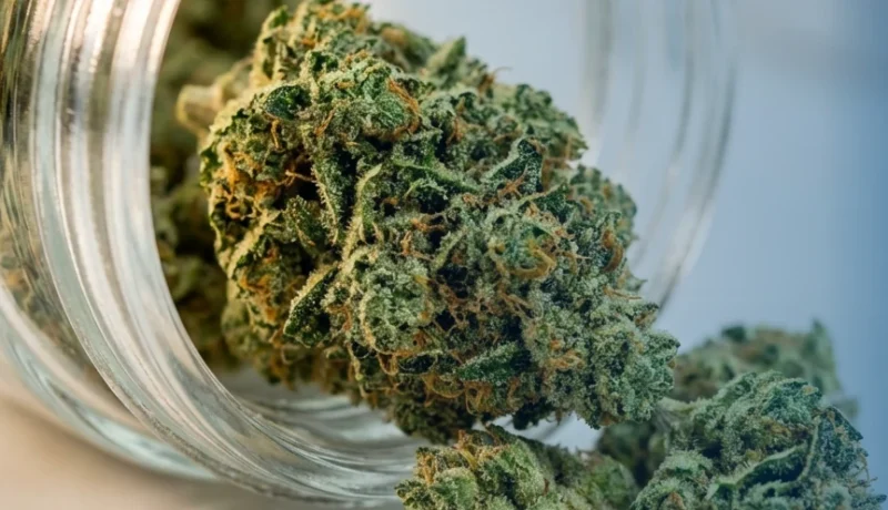 How to make your weed last longer