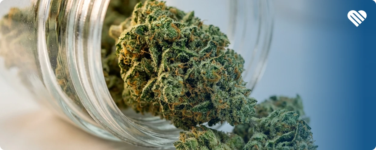 How to make your weed last longer