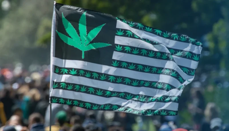 How did 420 become a cannabis holiday?