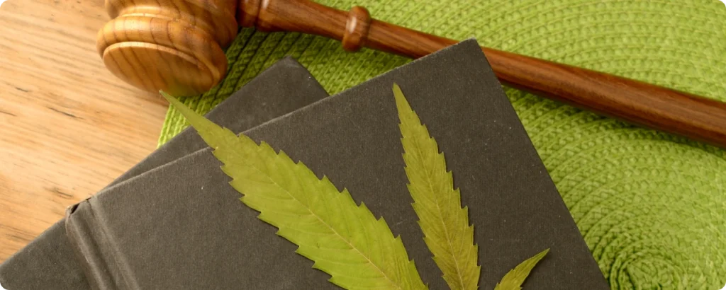 Are the new THC hemp regulations guaranteed to take effect?