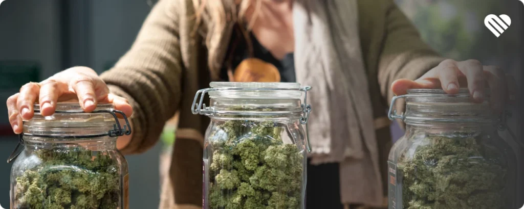 Common cannabis smells linked to effects