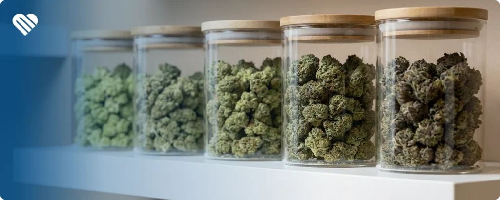 How to choose an uplifting strain