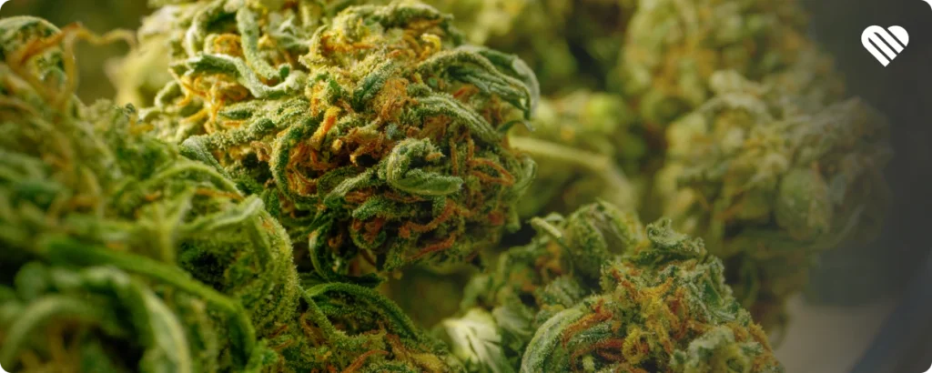 What uplifting strains have in common