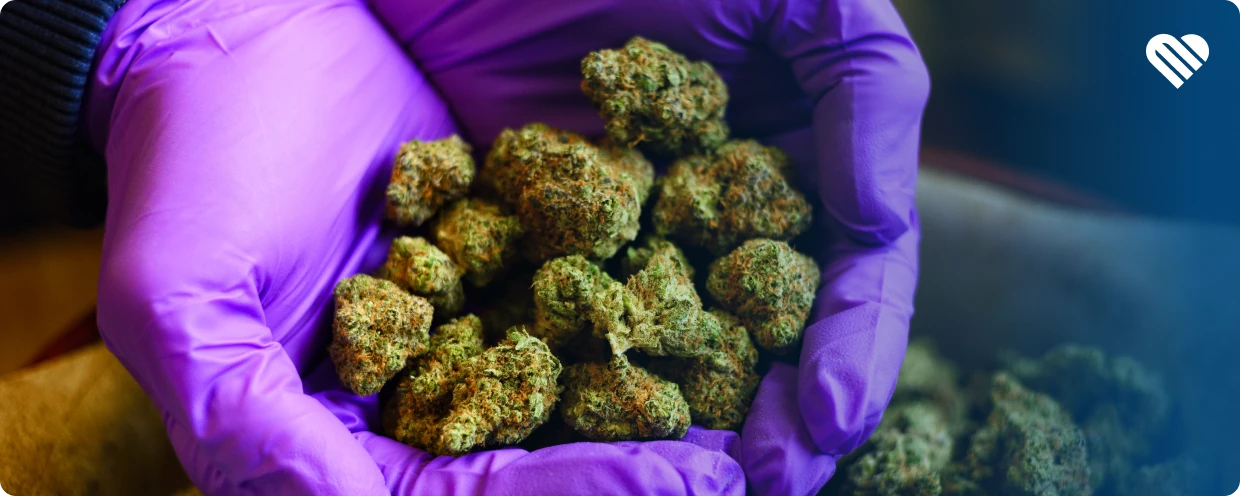 Best uplifting cannabis strains according to Reddit