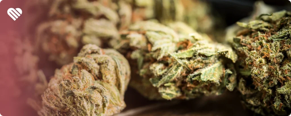 Understanding the uplifting strains poll