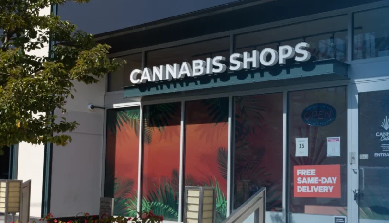 How recreational only dispensaries are failing consumers