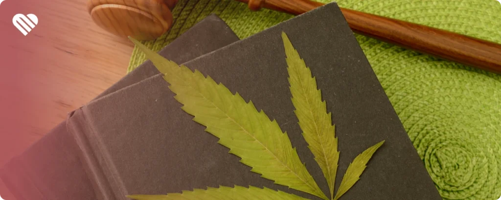 How significant is cannabis rescheduling?