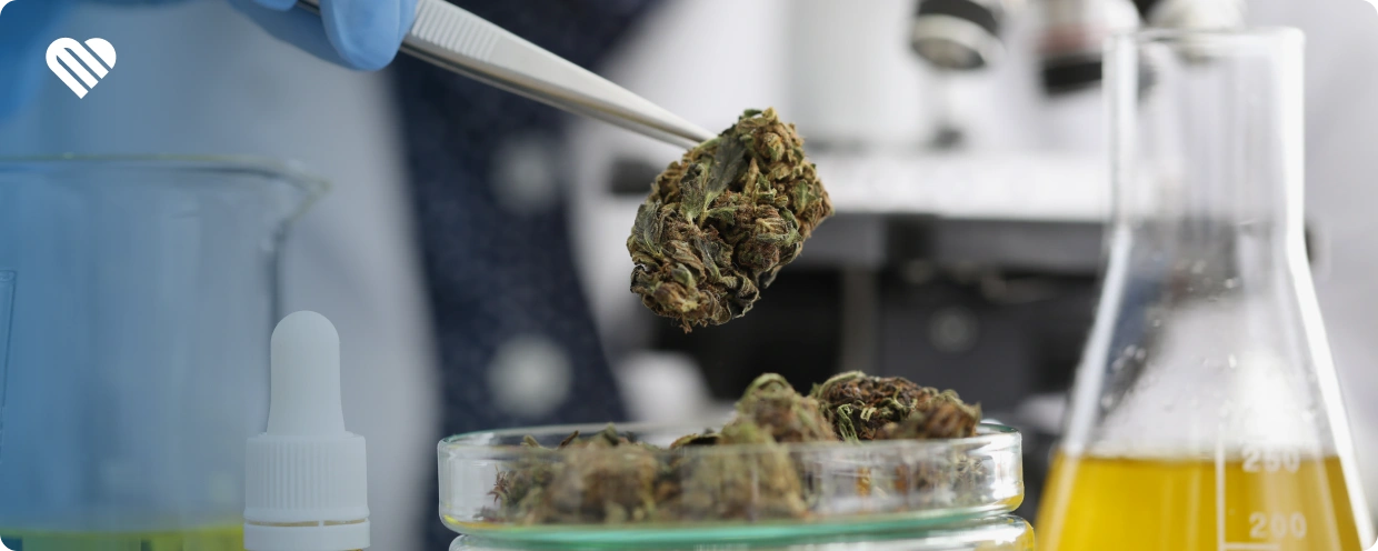 New Federal Cannabis Legalization Bill Would Ease Barriers to Research