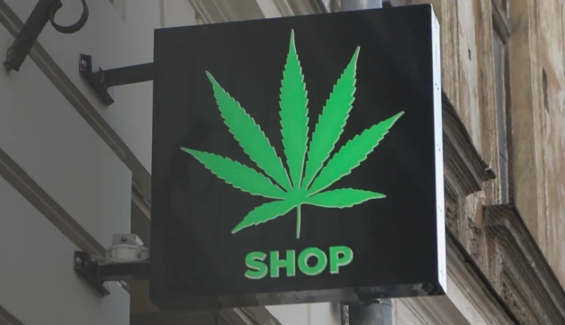 hemp bans push consumers to legal dispensaryes according to poll