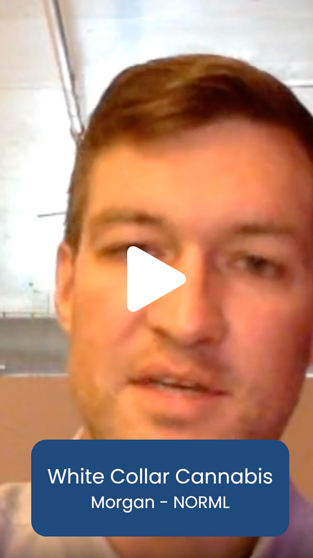 Morgan White Collar Cannabis executive
