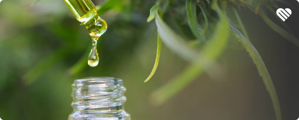 CBD oil drop for patients who don't want to feel high